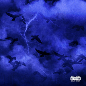 国产欧美日韩在线观看无需安装
